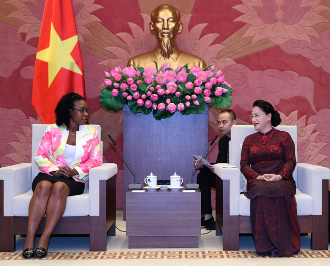 Vietnam fortalece nexos con Cuba y Mozambique ảnh 2