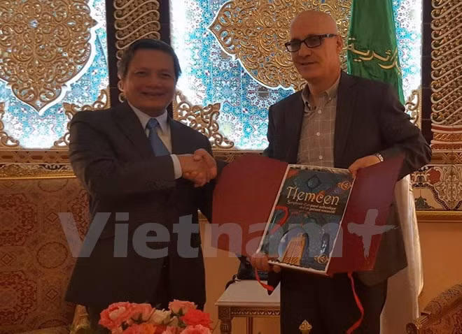 Vietnam busca robustecer vínculos comerciales con localidades argelinas ảnh 1
