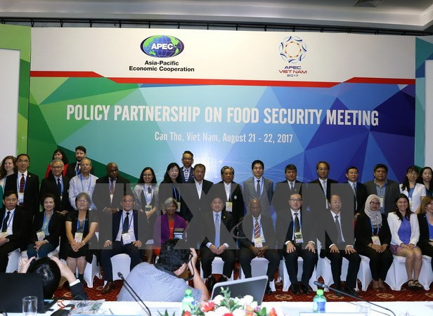 APEC 2017 delibera sobre desarrollo sostenible de la pesca ảnh 1