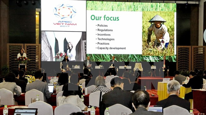 Economías de APEC debaten sobre agricultura sostenible ảnh 1 Economías de APEC debaten sobre agricultura sostenible ảnh 1