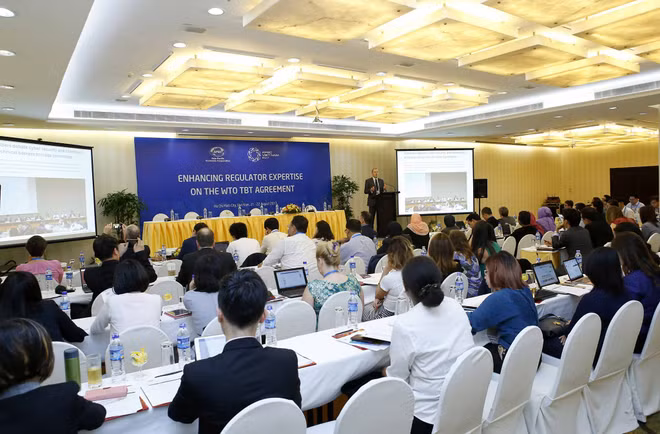 APEC 2017: Buscan mejorar capacidad de gestión de reglamentos técnicos comerciales ảnh 1