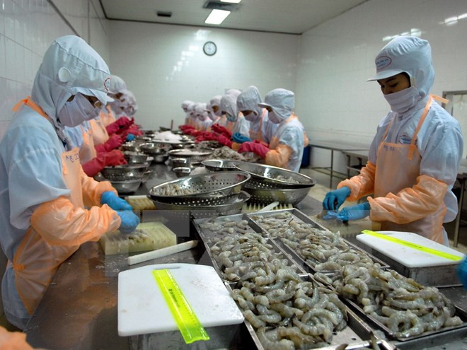 Ha Tinh exporta 18 toneladas de camarones congelados a Malasia ảnh 1 Ha Tinh exporta 18 toneladas de camarones congelados a Malasia ảnh 1