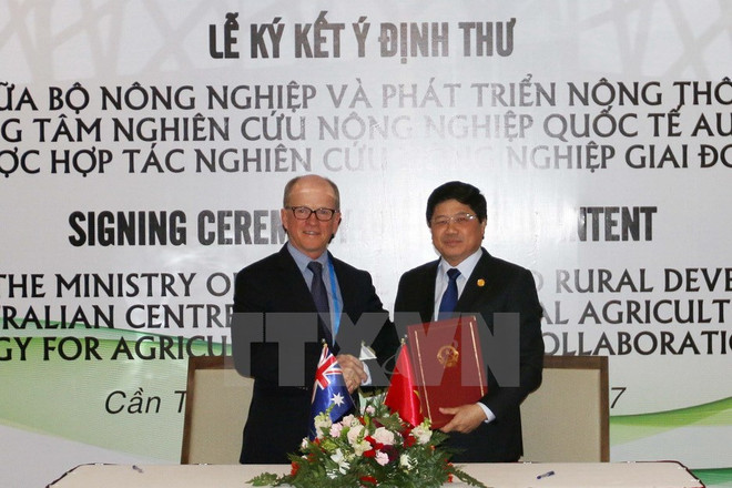 Vietnam y Australia reafirman cooperación duradera en investigación agrícola ảnh 1 Vietnam y Australia reafirman cooperación duradera en investigación agrícola ảnh 1