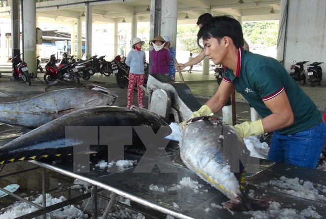 Vietnam ingresa más de cinco mil millones de dólares por venta de mariscos ảnh 1