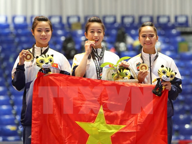 Vietnam alcanza meta de medallas de oro en SEA Games 29 ảnh 1