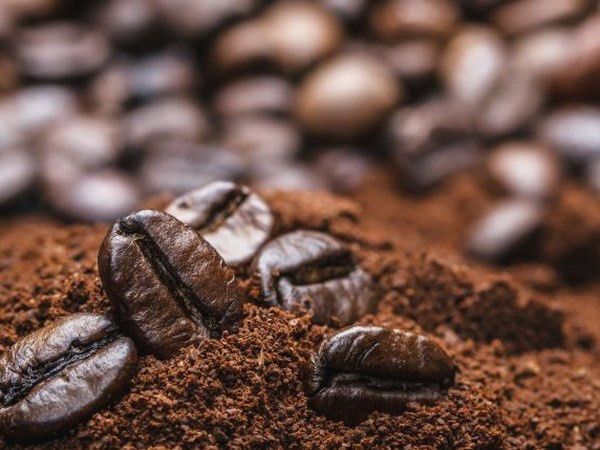 Café vietnamita afianza su posición en mercado sudcoreano ảnh 1 Café vietnamita afianza su posición en mercado sudcoreano ảnh 1