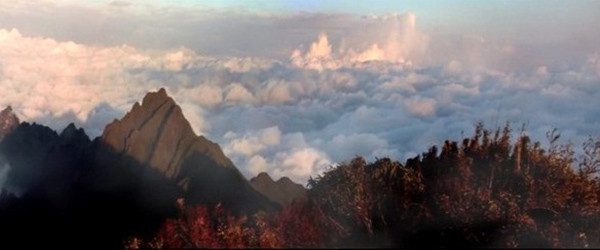 “Bienvenidos a Vietnam”: Invitación a un país hermoso y hospitalario ảnh 5