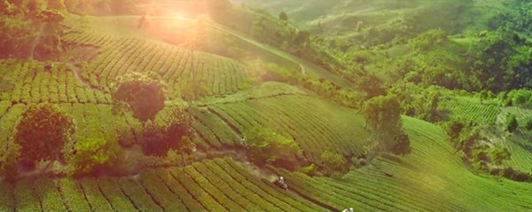 “Bienvenidos a Vietnam”: Invitación a un país hermoso y hospitalario ảnh 7