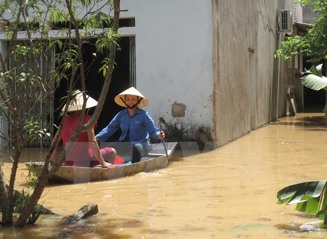 Enormes pérdidas en Thanh Hoa por intensas lluvias ảnh 1