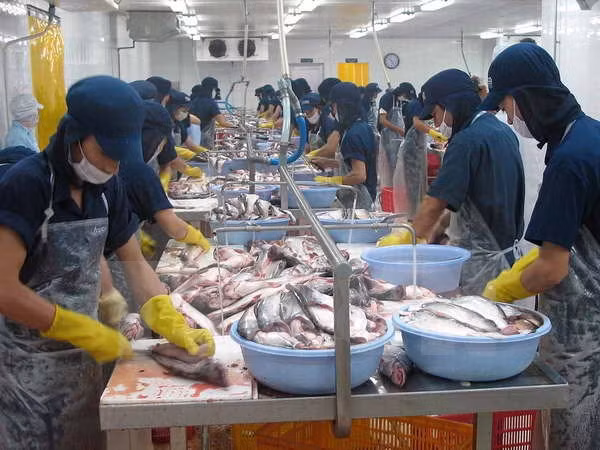 Sector del pescado Tra necesita marca fuerte ảnh 1