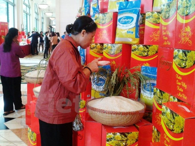 Busca sector arrocero de Vietnam penetrar en 2016 en mercados de altos requisitos ảnh 1