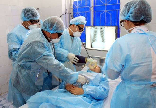 Situación de epidemias persistirá complicada en Vietnam en 2018 ảnh 1