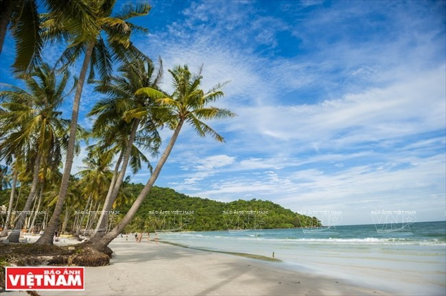 Consideran establecimiento de unidad administrativa y económica especial de Phu Quoc ảnh 1 Consideran establecimiento de unidad administrativa y económica especial de Phu Quoc ảnh 1