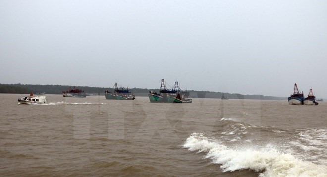 Vietnam refuerza su capacidad de enfrentamiento a desastres naturales ảnh 1