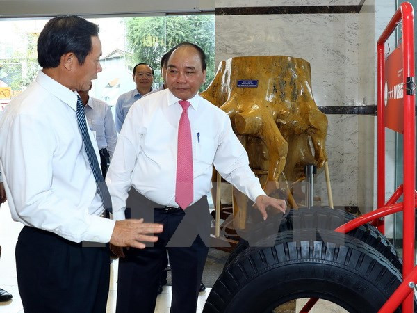 Premier de Vietnam orienta el desarrollo del sector nacional de caucho ảnh 1