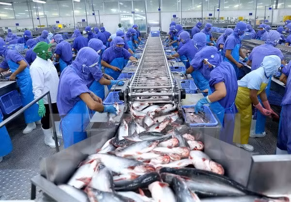 Ciudad Ho Chi Minh promueve el desarrollo del sector privado ảnh 1