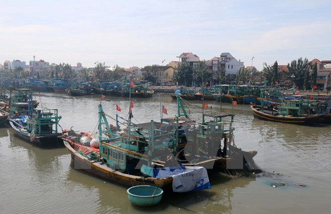 Embajada de Vietnam protege derechos de pescadores arrestados en Indonesia ảnh 1
