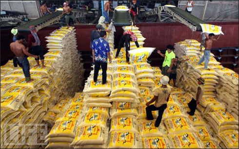 Exportaciones de Tailandia logran récord en los últimos seis años ảnh 1 Exportaciones de Tailandia logran récord en los últimos seis años ảnh 1