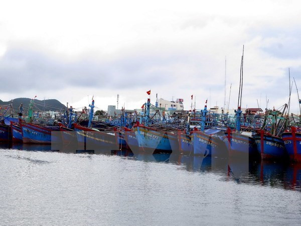Provincia centrovietnamita promueve pesca en alta mar ảnh 1 Provincia centrovietnamita promueve pesca en alta mar ảnh 1