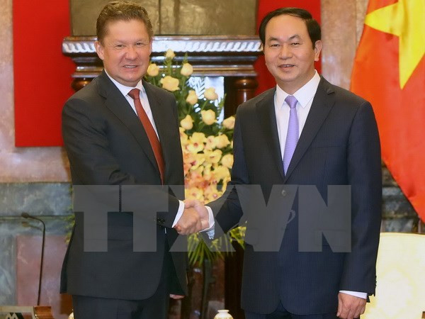 Gobierno respalda la producción petrolera de Gazprom en Vietnam ảnh 2 Gobierno respalda la producción petrolera de Gazprom en Vietnam ảnh 2