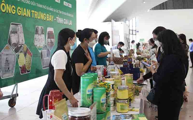 Impulsan conexión comercial entre Da Nang y provincias altiplanas de Vietnam ảnh 1