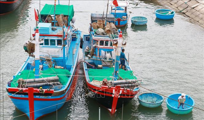 Producción de mariscos de Vietnam alcanza más de 566 toneladas en tres meses ảnh 1 Producción de mariscos de Vietnam alcanza más de 566 toneladas en tres meses ảnh 1