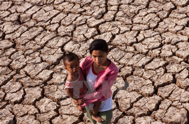 Otras diez provincias vietnamitas se declaran en situación de catastrófica ảnh 1 Otras diez provincias vietnamitas se declaran en situación de catastrófica ảnh 1