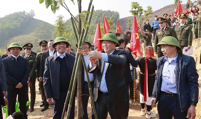 Lanzan Festivales de Emulación y de Plantación de Árboles en Tuyen Quang ảnh 1 Lanzan Festivales de Emulación y de Plantación de Árboles en Tuyen Quang ảnh 1