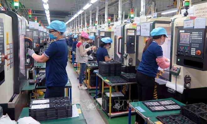 Número de nuevas empresas en Vietnam se reduce casi 17 por ciento ảnh 1 Número de nuevas empresas en Vietnam se reduce casi 17 por ciento ảnh 1