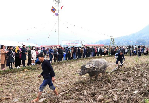 Localidades en el Norte de Vietnam celebran festivales de “ir al campo” ảnh 1 Localidades en el Norte de Vietnam celebran festivales de “ir al campo” ảnh 1