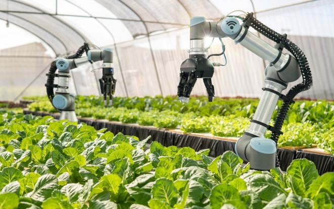 Vietnam por elevar contribución de tecnología e innovación al crecimiento agrícola ảnh 1 Vietnam por elevar contribución de tecnología e innovación al crecimiento agrícola ảnh 1