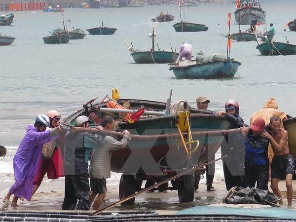 Mantiene alerta Vietnam ante la aproximación de la tormenta Mujigae ảnh 1 Mantiene alerta Vietnam ante la aproximación de la tormenta Mujigae ảnh 1