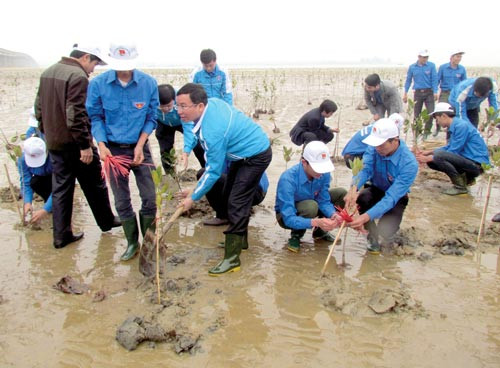Respuesta activa de jóvenes vietnamitas a la protección ambiental ảnh 1
