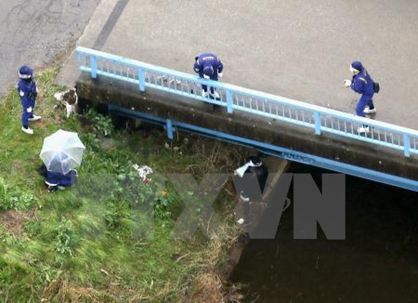 Vietnam intensifica asistencia a ciudadanos en Japón ảnh 1 Vietnam intensifica asistencia a ciudadanos en Japón ảnh 1