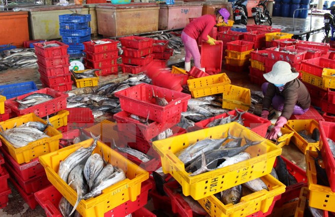 En alza producción acuícola de Vietnam en primer trimestre de 2017 ảnh 1 En alza producción acuícola de Vietnam en primer trimestre de 2017 ảnh 1