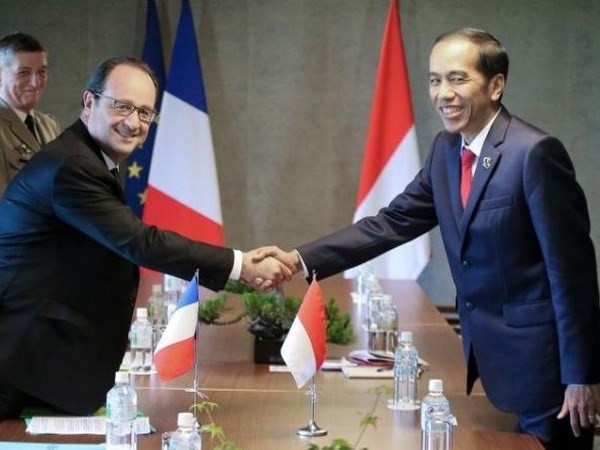 Francia e Indonesia robustecen cooperación en defensa ảnh 1