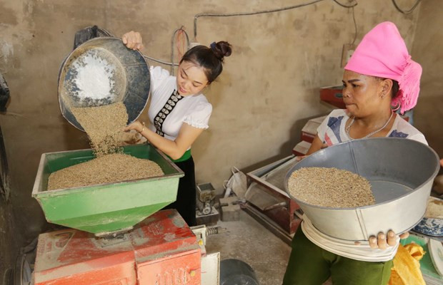 Vietnam mantiene respaldo a los trabajadores afectados por el COVID-19 ảnh 2 Vietnam mantiene respaldo a los trabajadores afectados por el COVID-19 ảnh 2