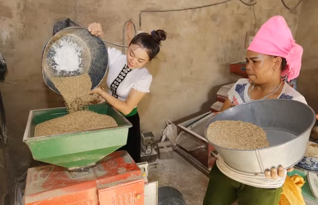 Vietnam mantiene respaldo a los trabajadores afectados por el COVID-19 ảnh 2