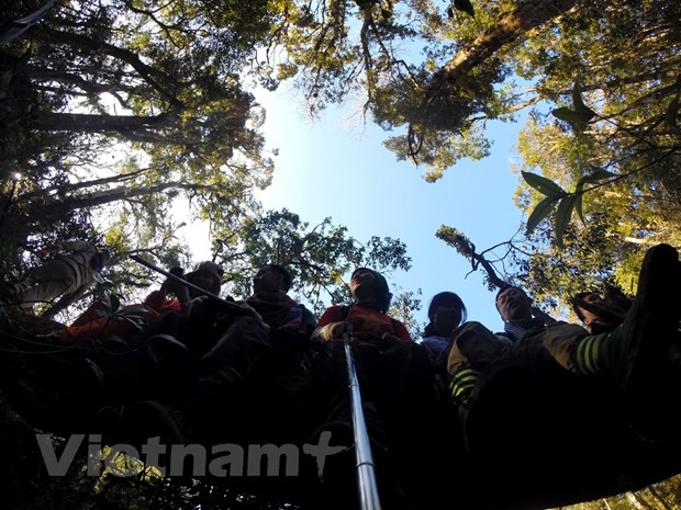 Mercado doméstico, clave para recuperar turismo de Vietnam en medio de pandemia ảnh 3 Mercado doméstico, clave para recuperar turismo de Vietnam en medio de pandemia ảnh 3