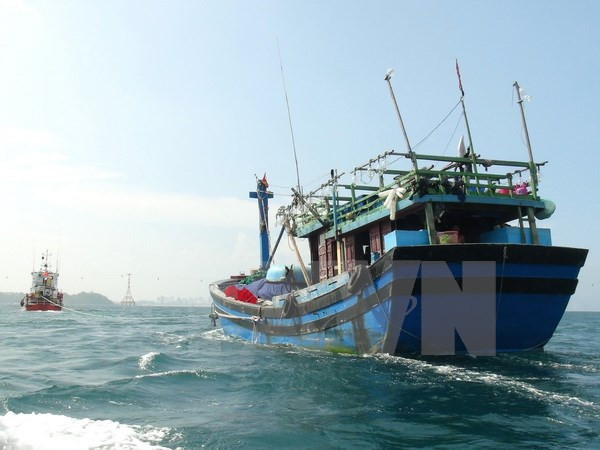 Rescata Vietnam marinero singapurense en el mar de Da Nang ảnh 1 Rescata Vietnam marinero singapurense en el mar de Da Nang ảnh 1