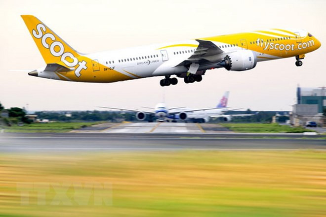 Avión de Scoot regresa a Singapur tras amenaza de bomba ảnh 1