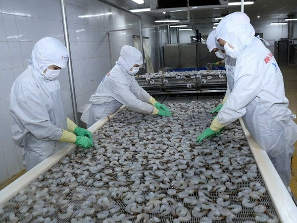 Vietnam: Exportación acuícola asciende a mil 700 millones de dólares en primer trimestre ảnh 1