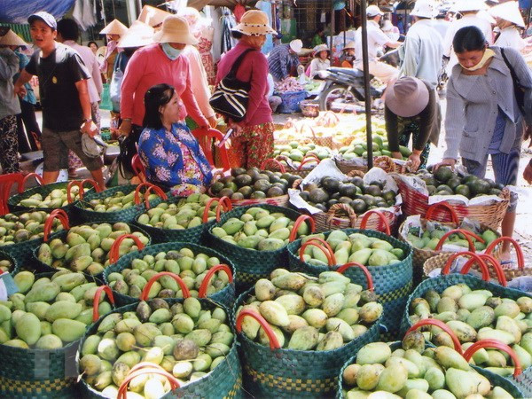 Vietnam exportará famoso mango Hoa Loc a Singapur ảnh 1