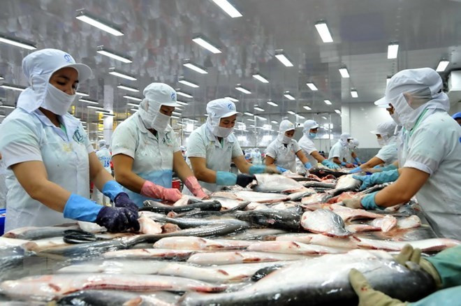 Pescados Tra de Vietnam cumplen difíciles demandas de Estados Unidos ảnh 1 Pescados Tra de Vietnam cumplen difíciles demandas de Estados Unidos ảnh 1