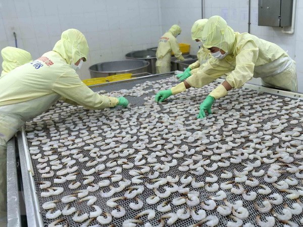 Vietnam busca soluciones contra devolución de productos acuícolas del extranjero ảnh 1 Vietnam busca soluciones contra devolución de productos acuícolas del extranjero ảnh 1