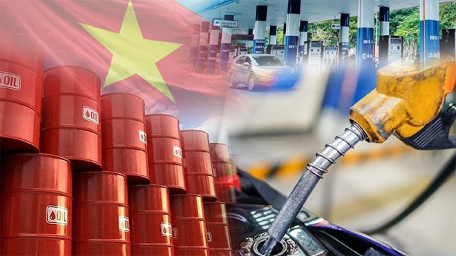 Industria de petróleo y gas de Vietnam enfrenta una oportunidad de transformación ảnh 2