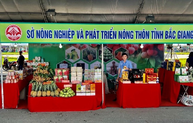 Provincia vietnamita de Bac Giang refuerza promoción de marcas y productos agrícolas ảnh 2