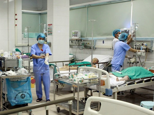 Vietnam despliega medidas contra contagio de difteria ảnh 1