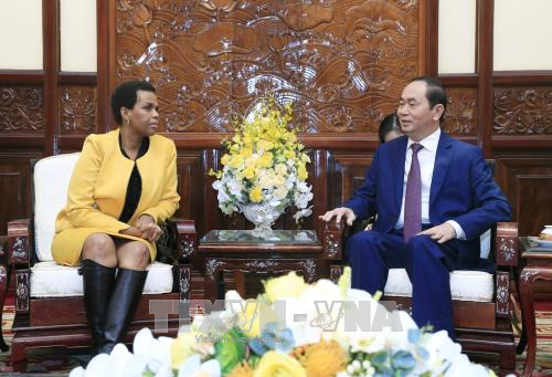 Presidente vietnamita recibe a saliente embajadora sudafricana ảnh 1 Presidente vietnamita recibe a saliente embajadora sudafricana ảnh 1
