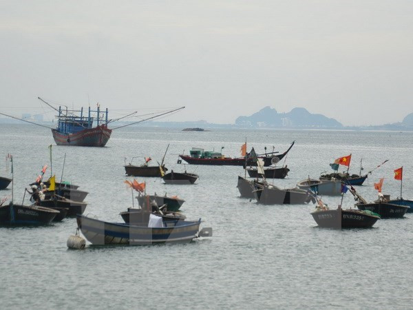 La ASEAN analiza la gestión de contaminación marina ảnh 1